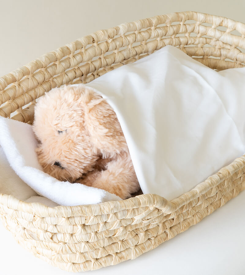 棺で安らかに眠る小さな家族