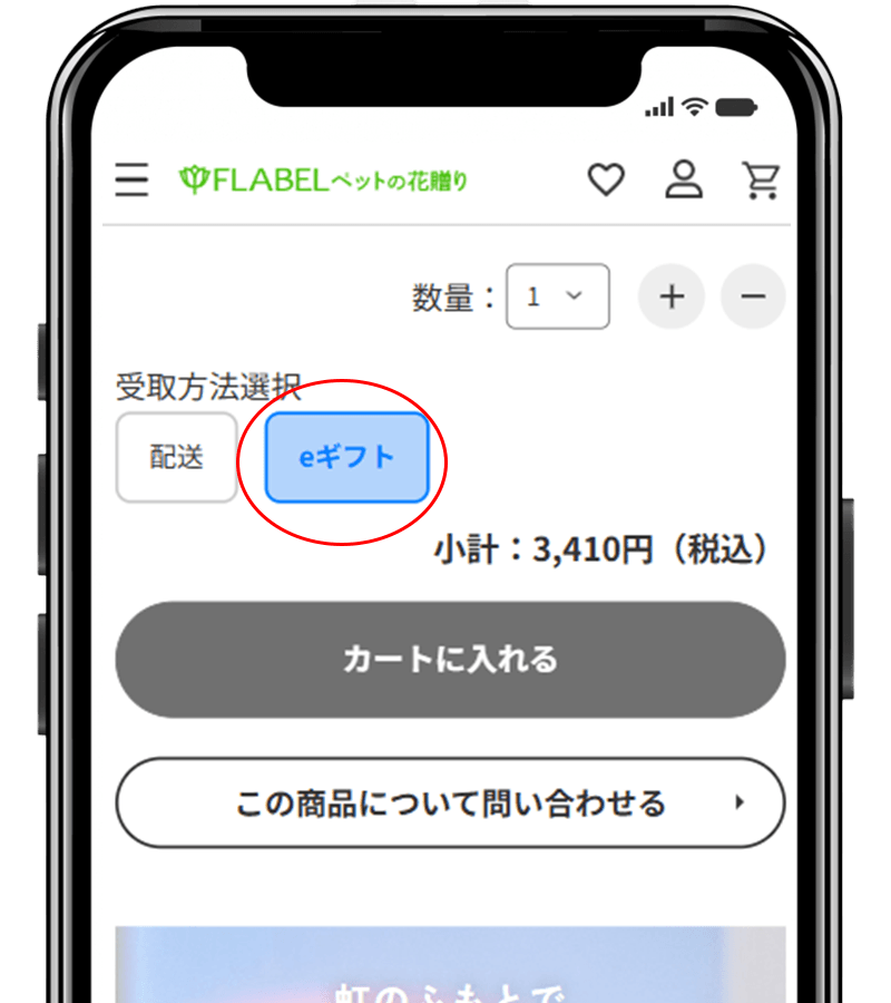eギフト選択箇所の画像