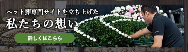 私たちの想い