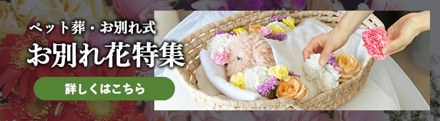 ペット葬・お別れ花