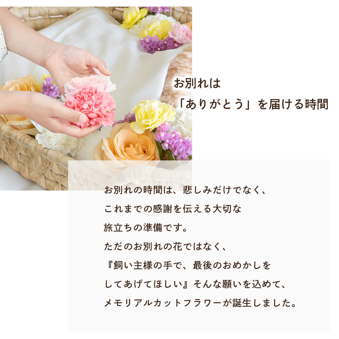 お別れはありがとうを届ける時間