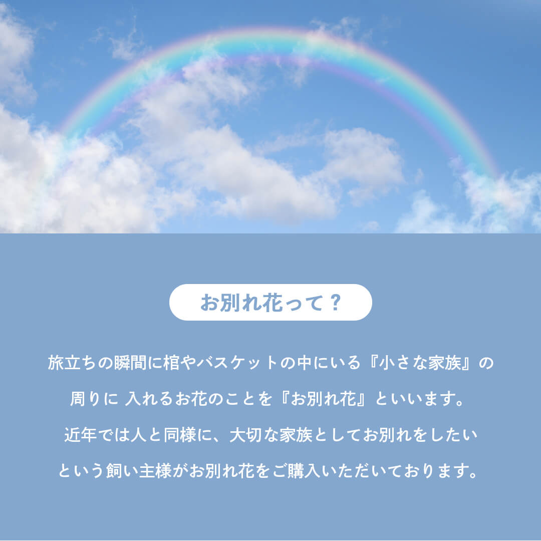 お別れ花って？