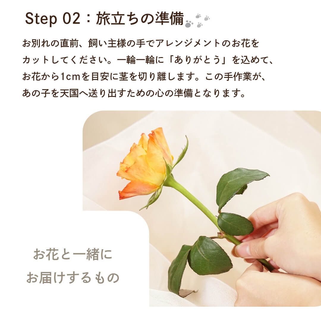 お別れの直前にお花をカットしてお別れのお花に。