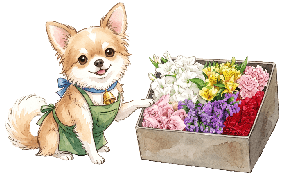 FLABELペットの花贈り店長 ベル君