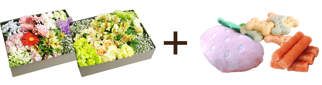 お別れ花 1〜2箱 ＆副葬品