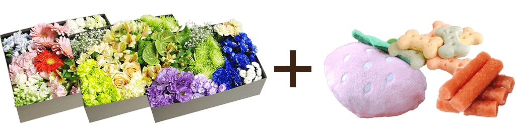 お別れ花 1〜3箱 ＆副葬品