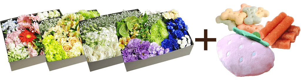 お別れ花 2〜4箱 ＆副葬品