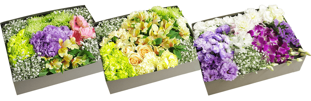 寒色系で届くお花のイメージ2