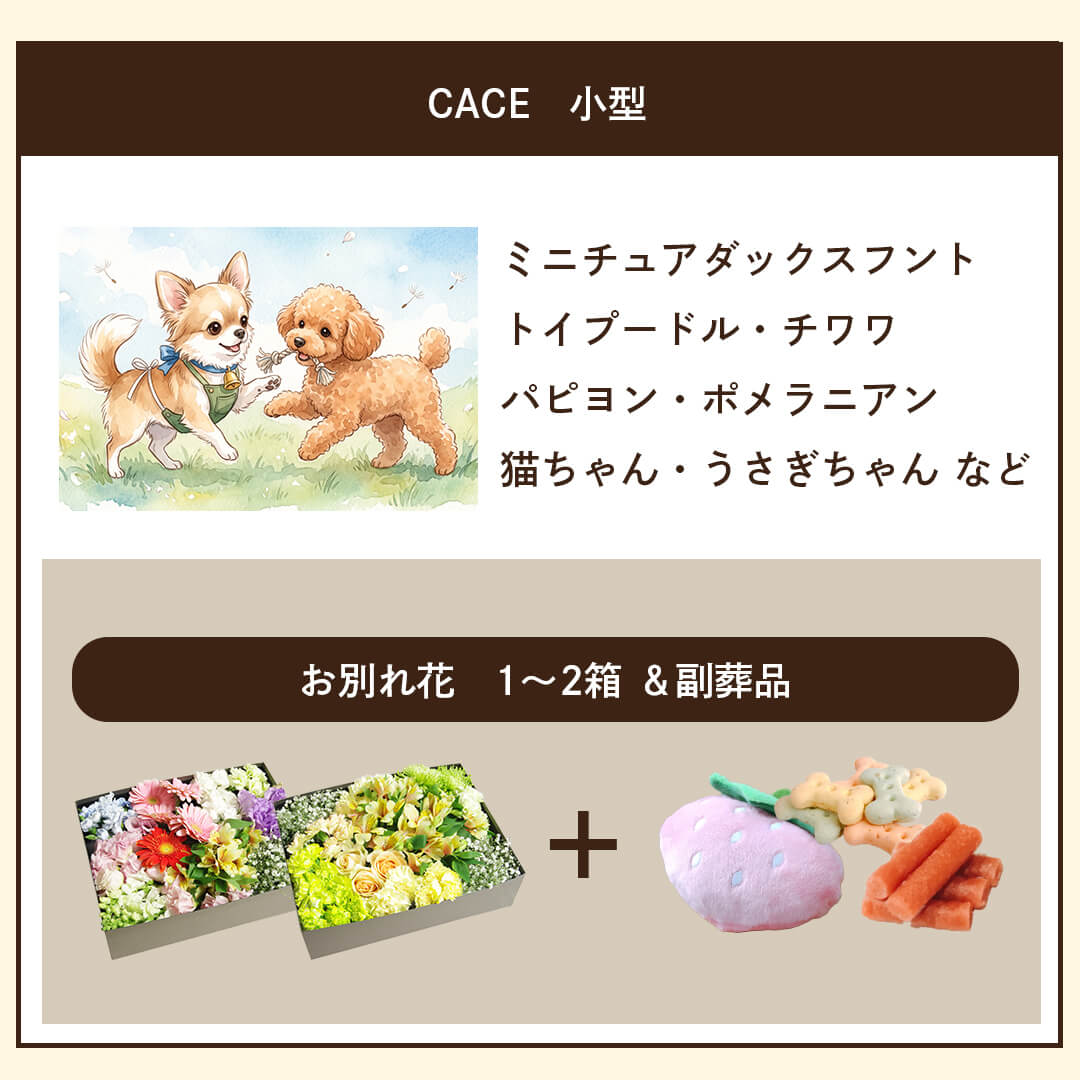 ケース 小型犬 1～2箱