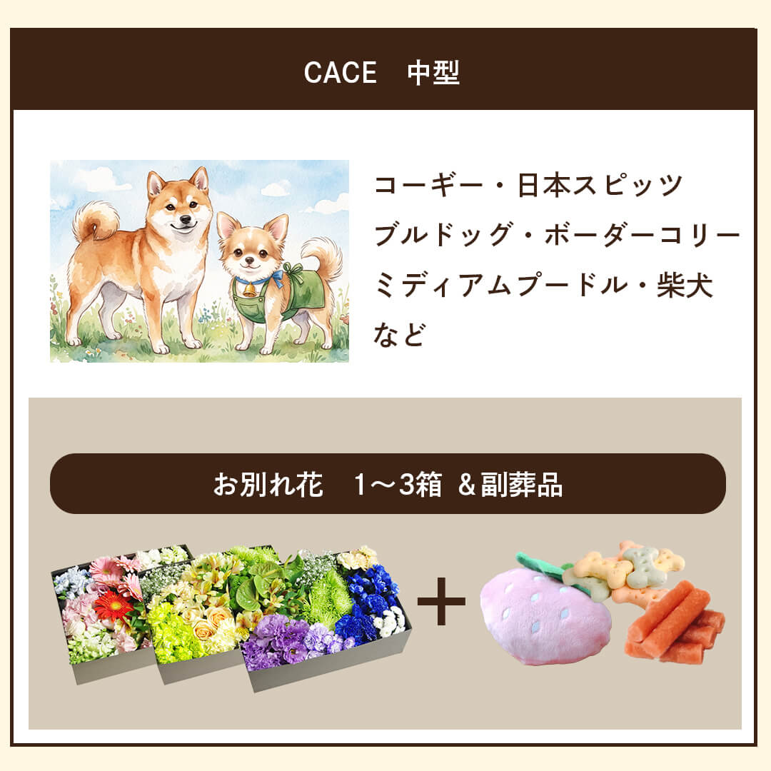 ケース 中型犬 1～3箱