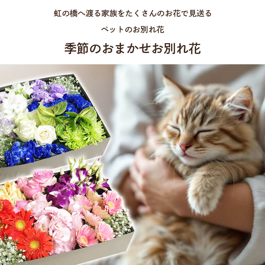 季節のおまかせ お別れ花