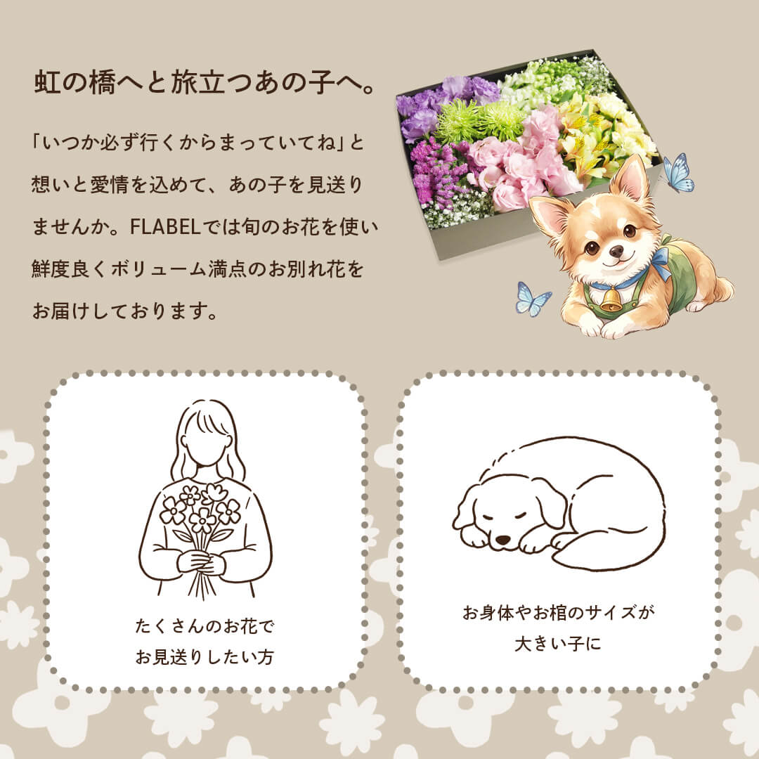 虹の橋へ旅立つあの子へ