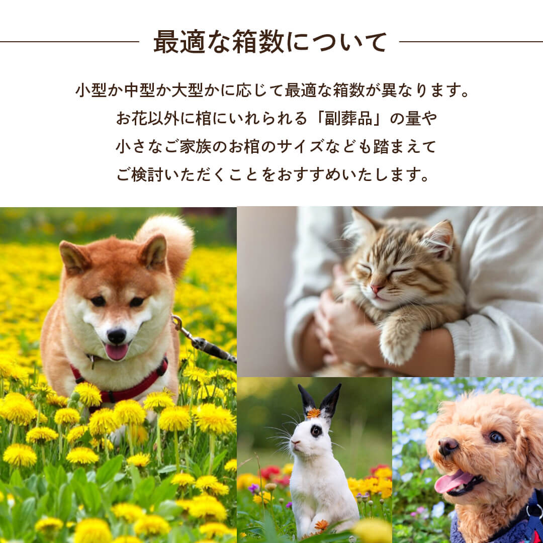 最適な箱数について