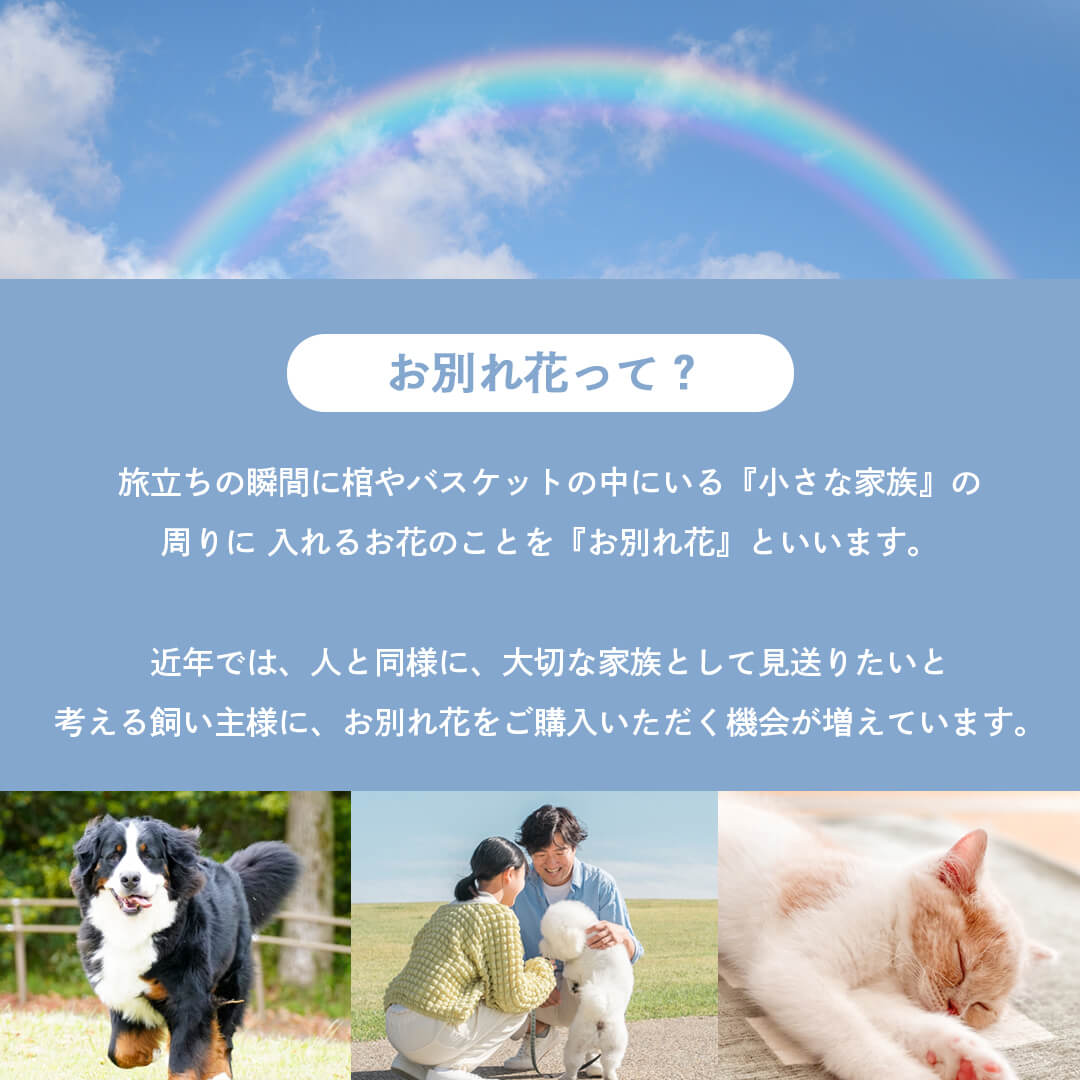 お別れ花って？