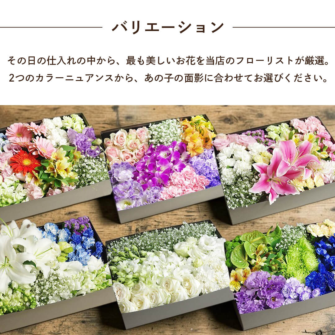 ２つのカラーバリエーションから選べます。
