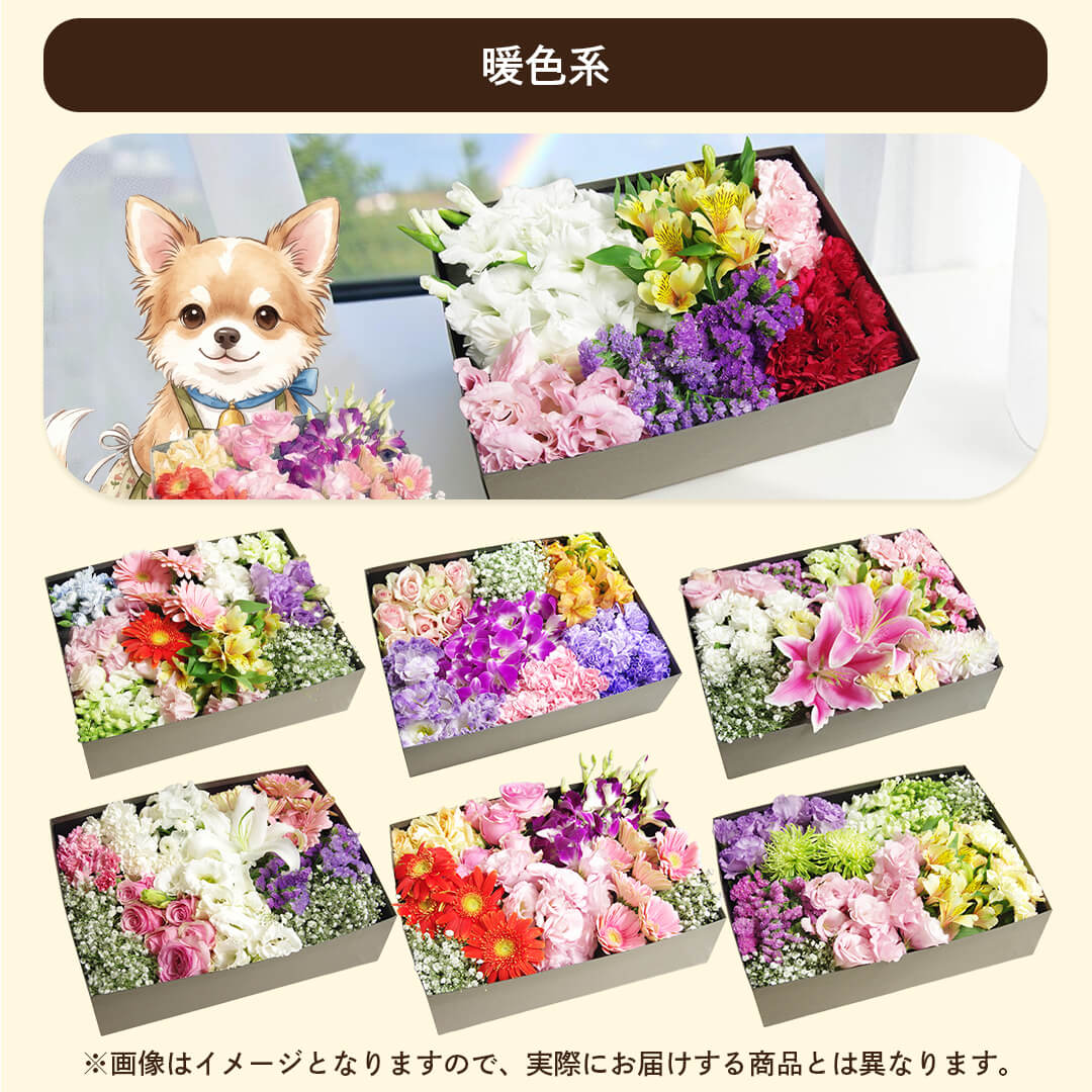 暖色系 ピンク・赤・オレンジ・黄色を基調とした