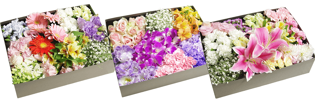 暖色系で届くお花のイメージ1