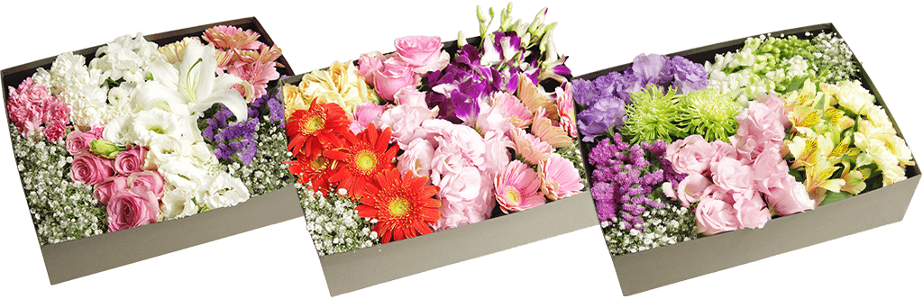 暖色系で届くお花のイメージ2