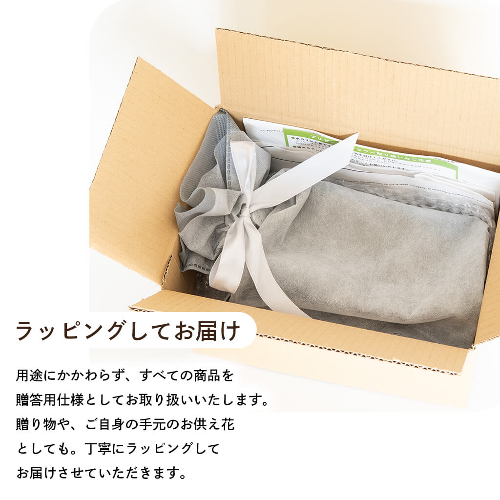 贈答用ラッピングでお届け