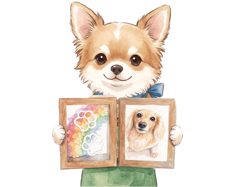 追加画像の説明