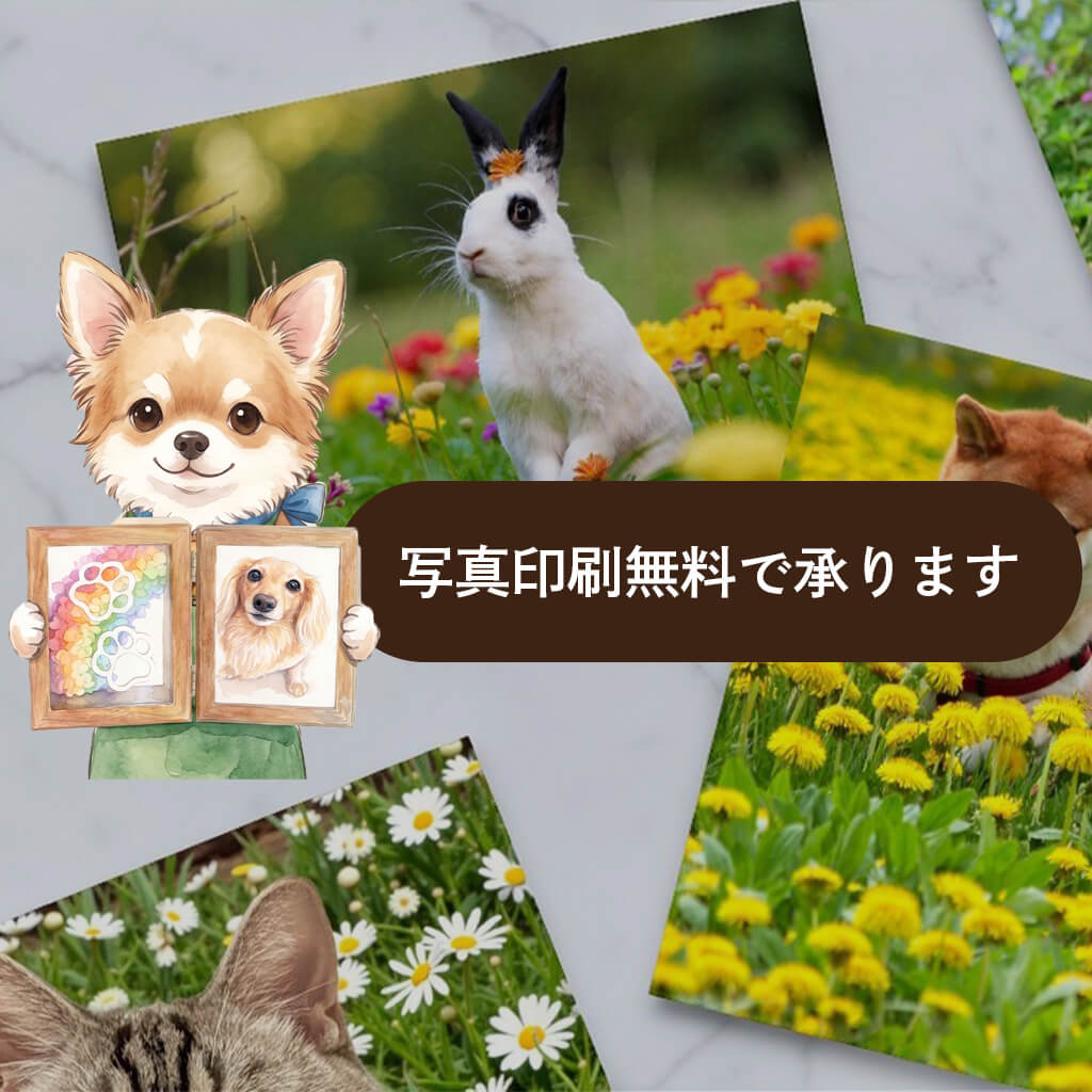 写真印刷無料