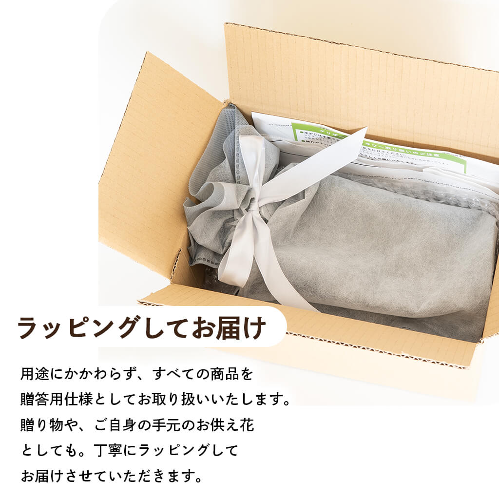 贈答用ラッピングでお届け