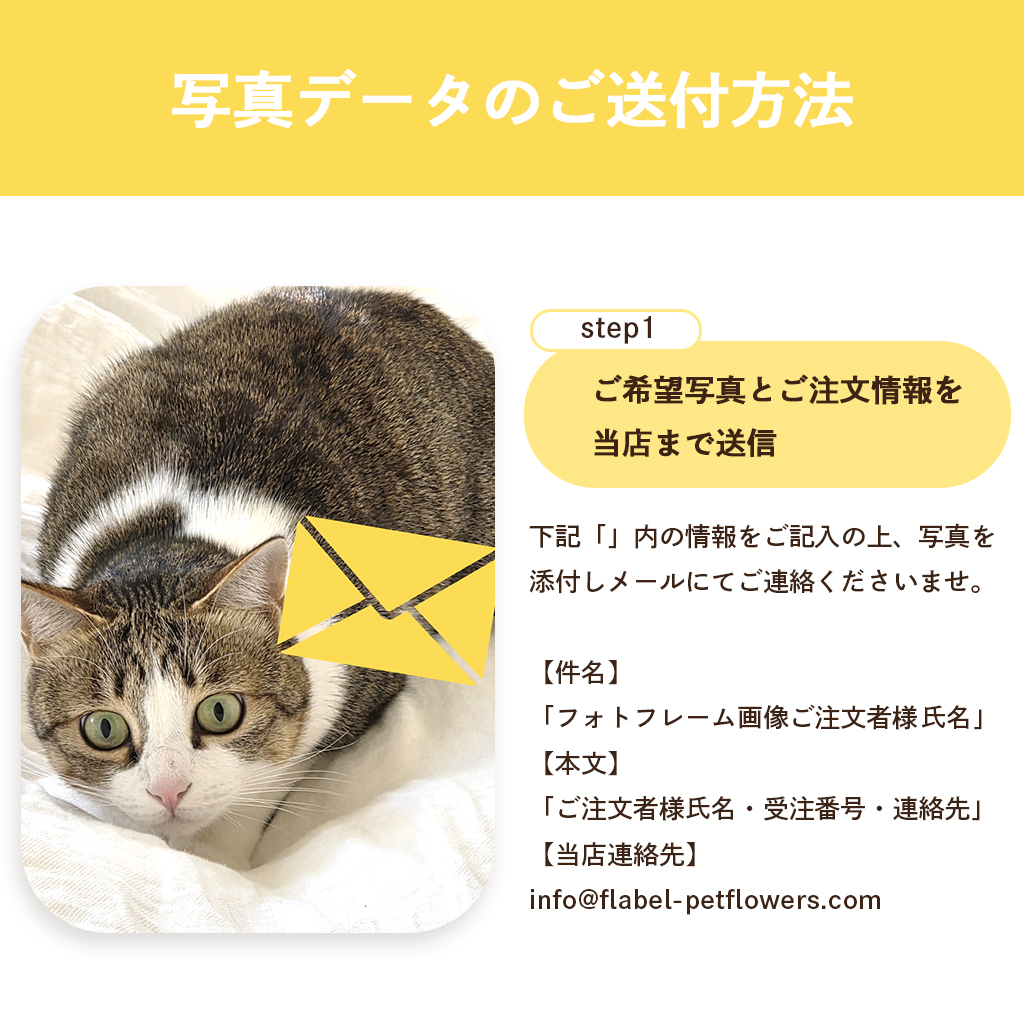 写真の贈り方１