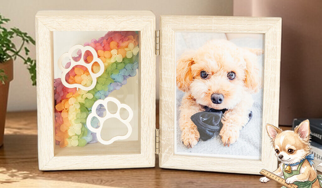 商品全体が分かる画像