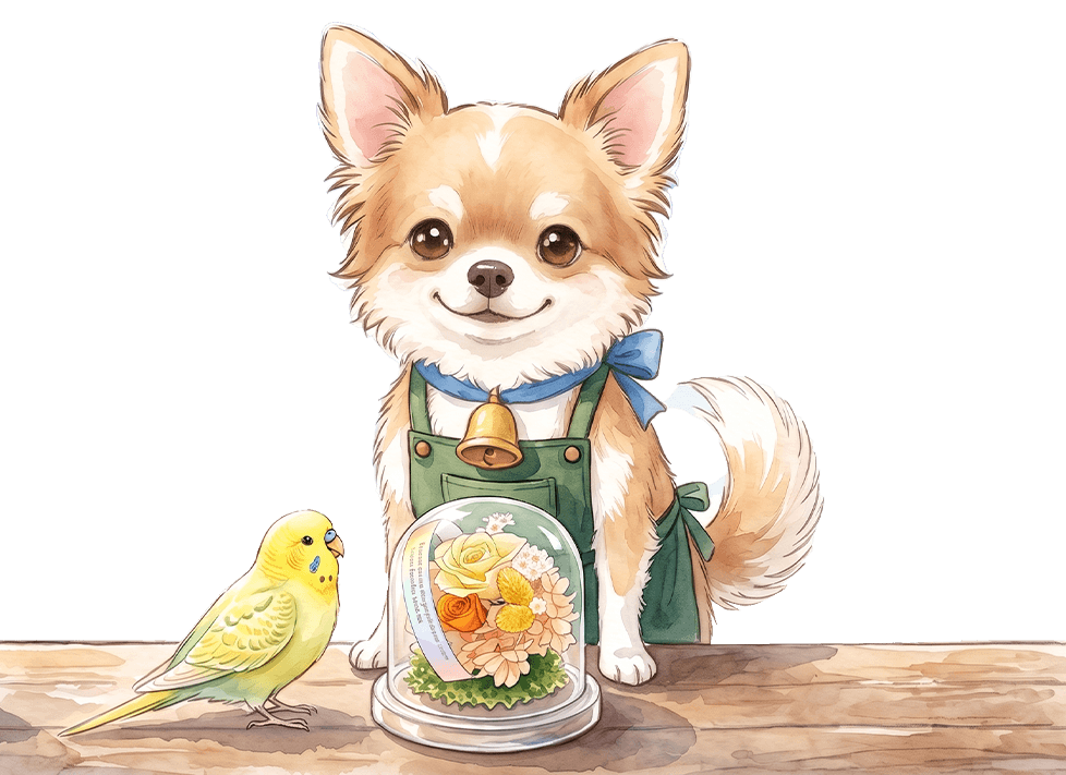 FLABELペットの花贈り店長 ベル君