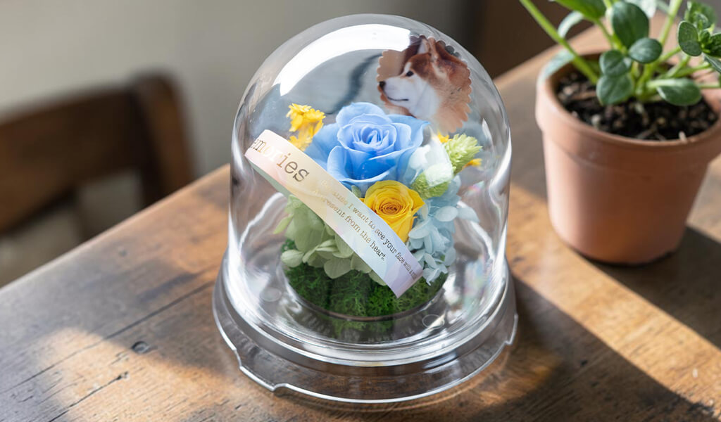 虹花 商品画像