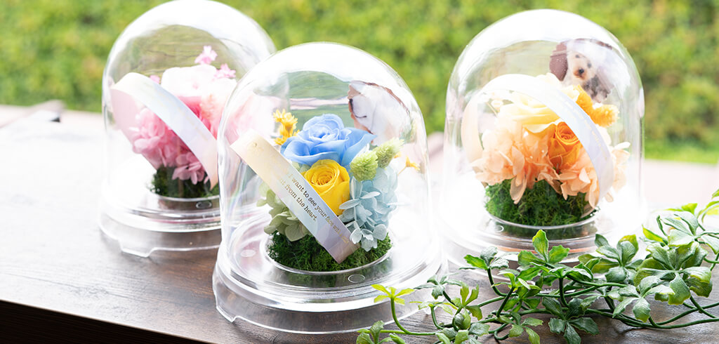 透明なドームの中にアレンジされた虹花