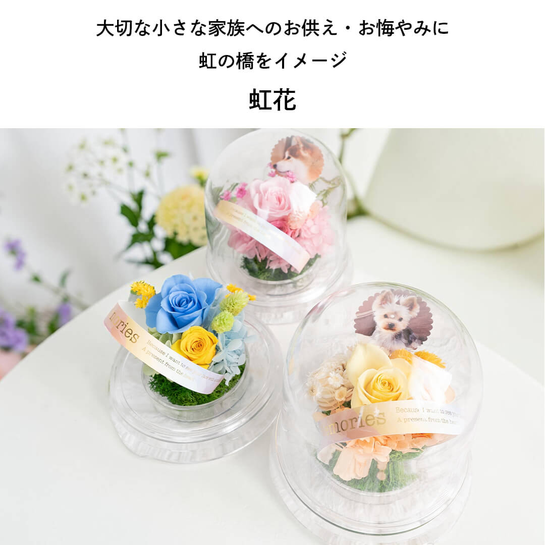 虹の橋をイメージした 花
