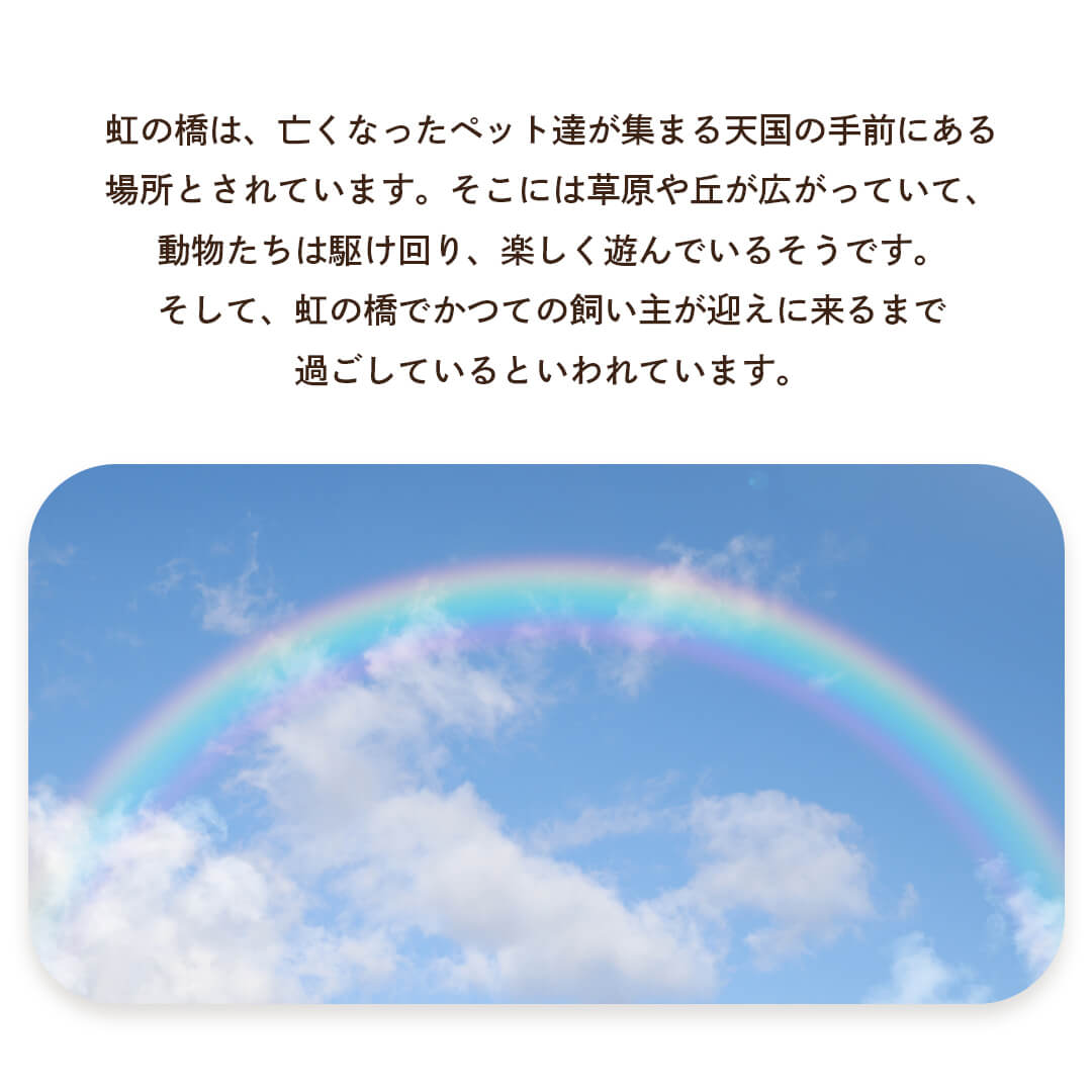 虹の橋 ストーリー