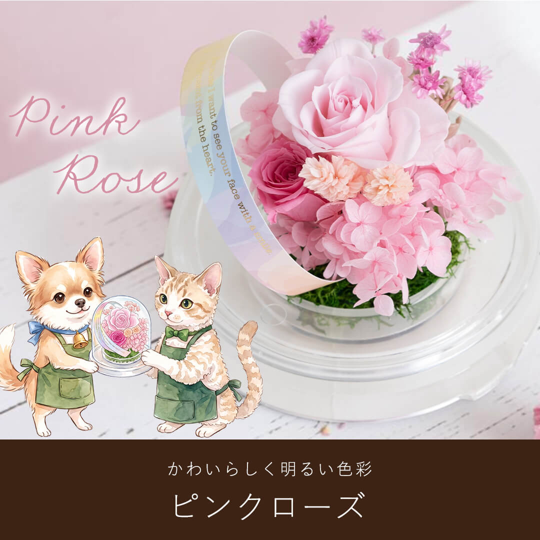 かわいらしい明るい色彩 ピンクローズ