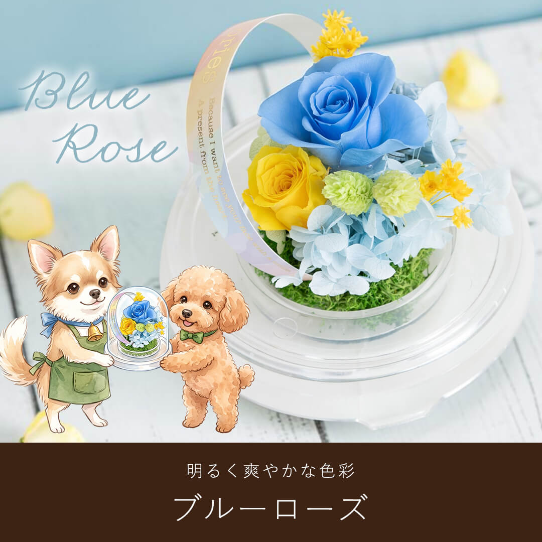明るく爽やかな色彩 ブルーローズ