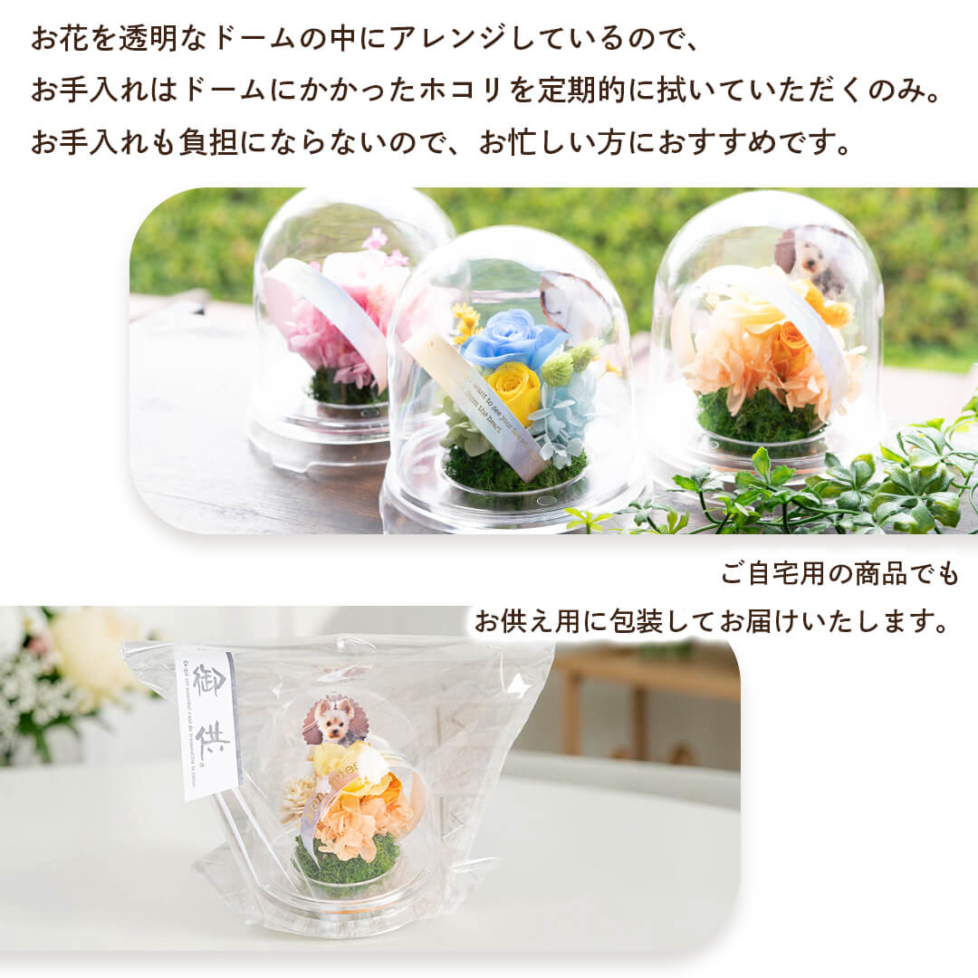お手入れ不要のドームアレンジ・贈答用ラッピングでお届け