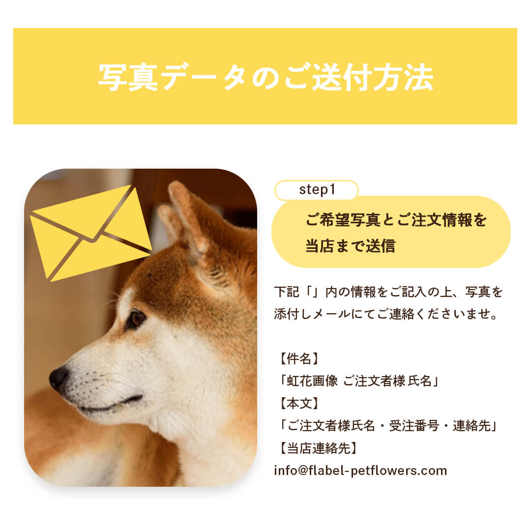 写真の贈り方１