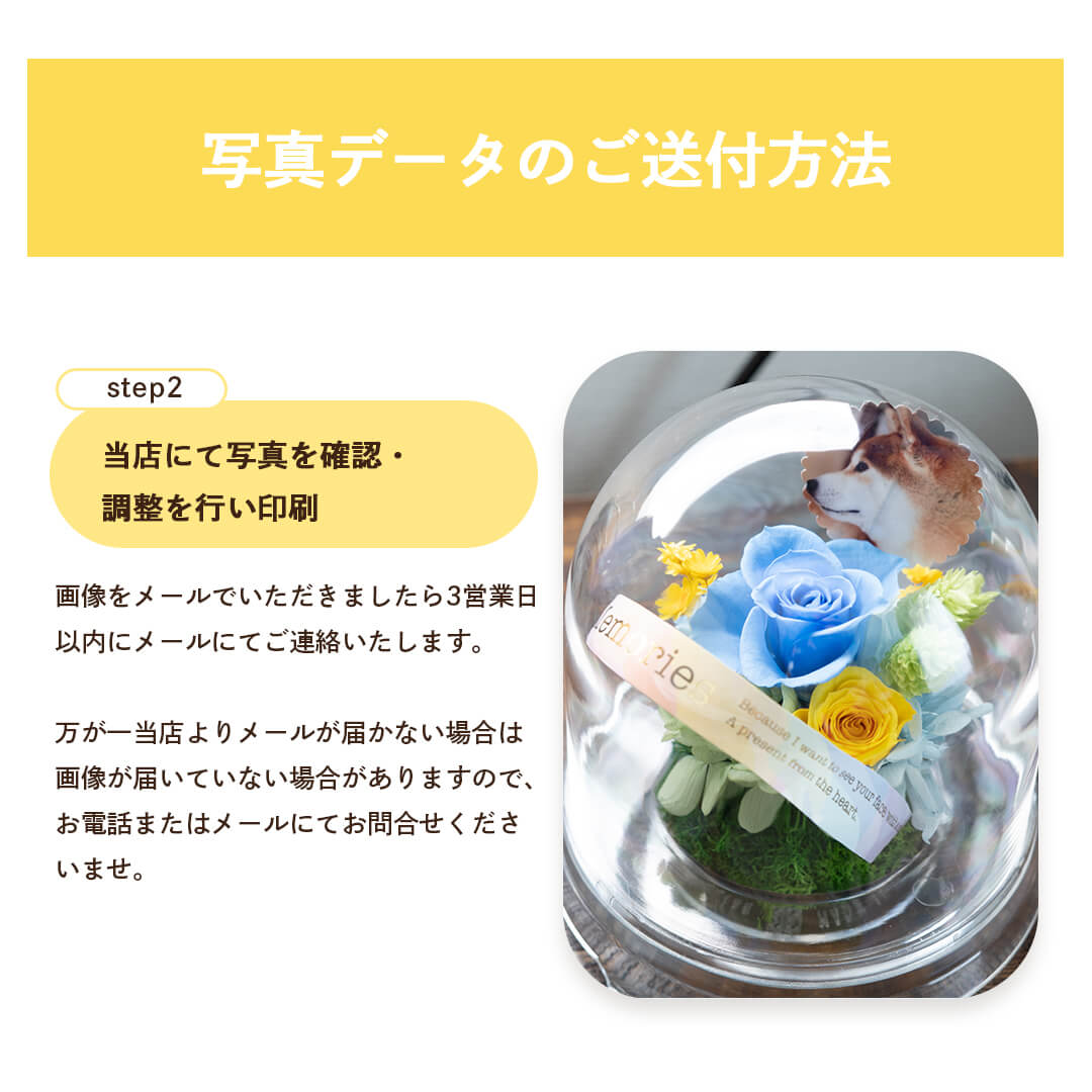 写真の贈り方２