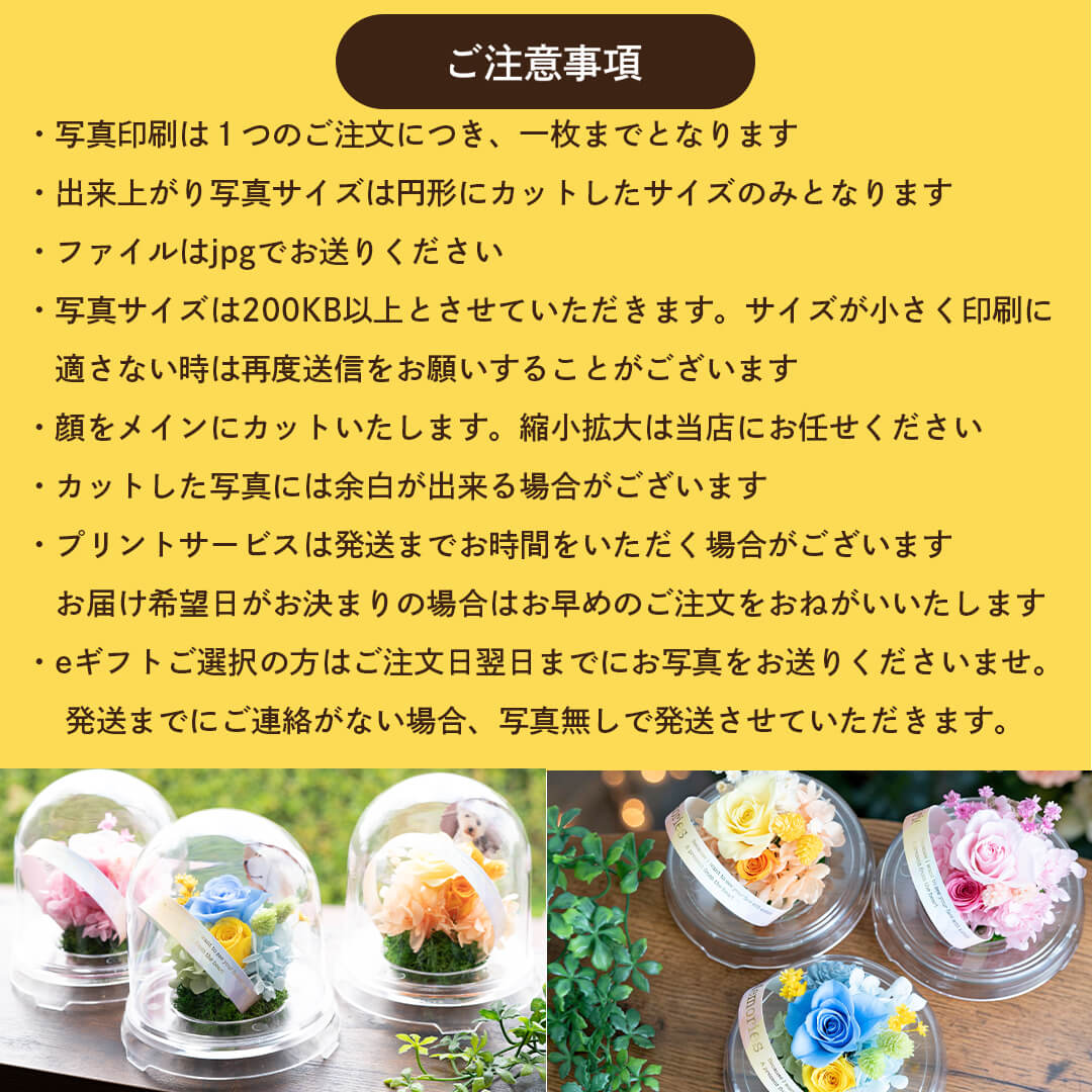ご注意事項