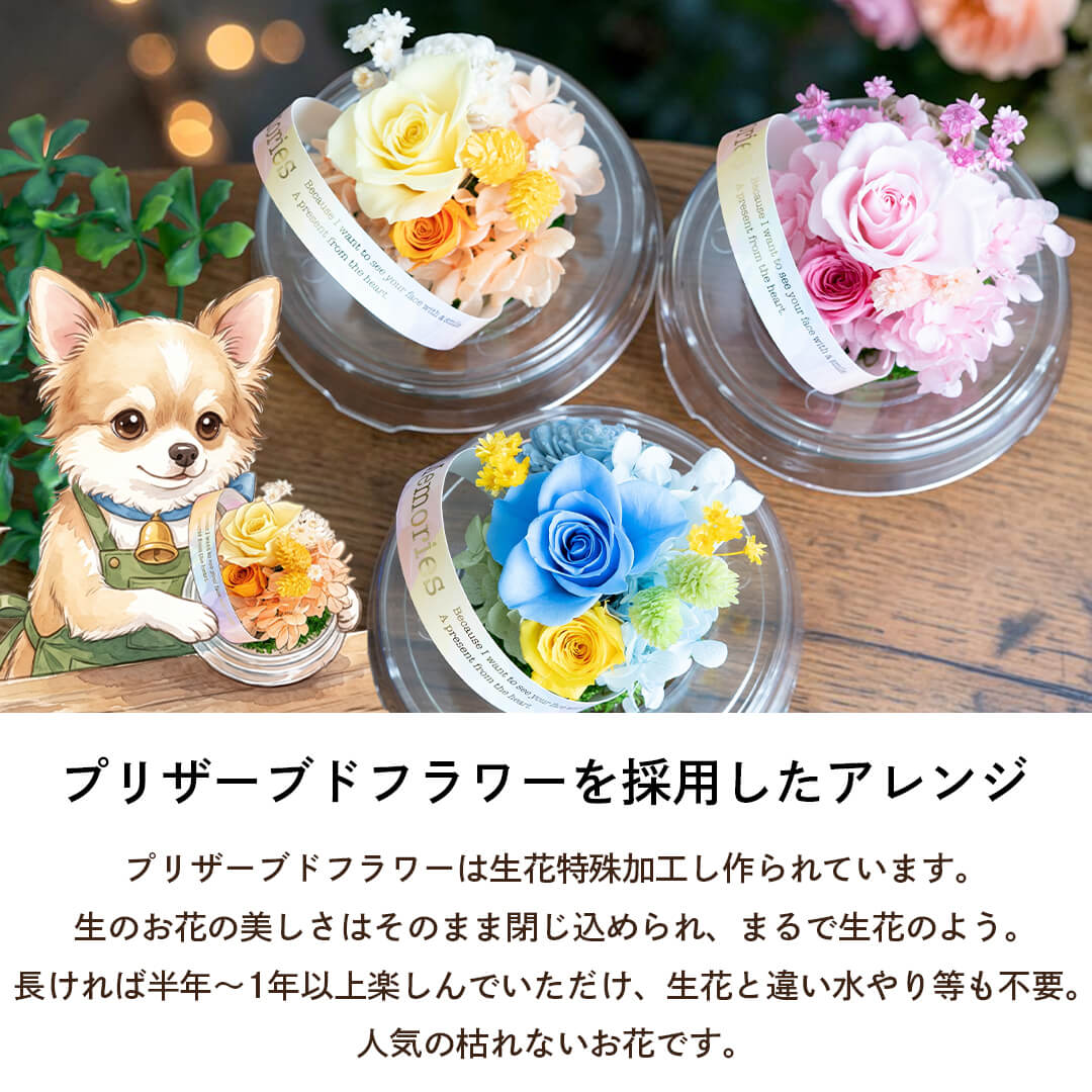 長期間飾れるプリザーブドフラワー