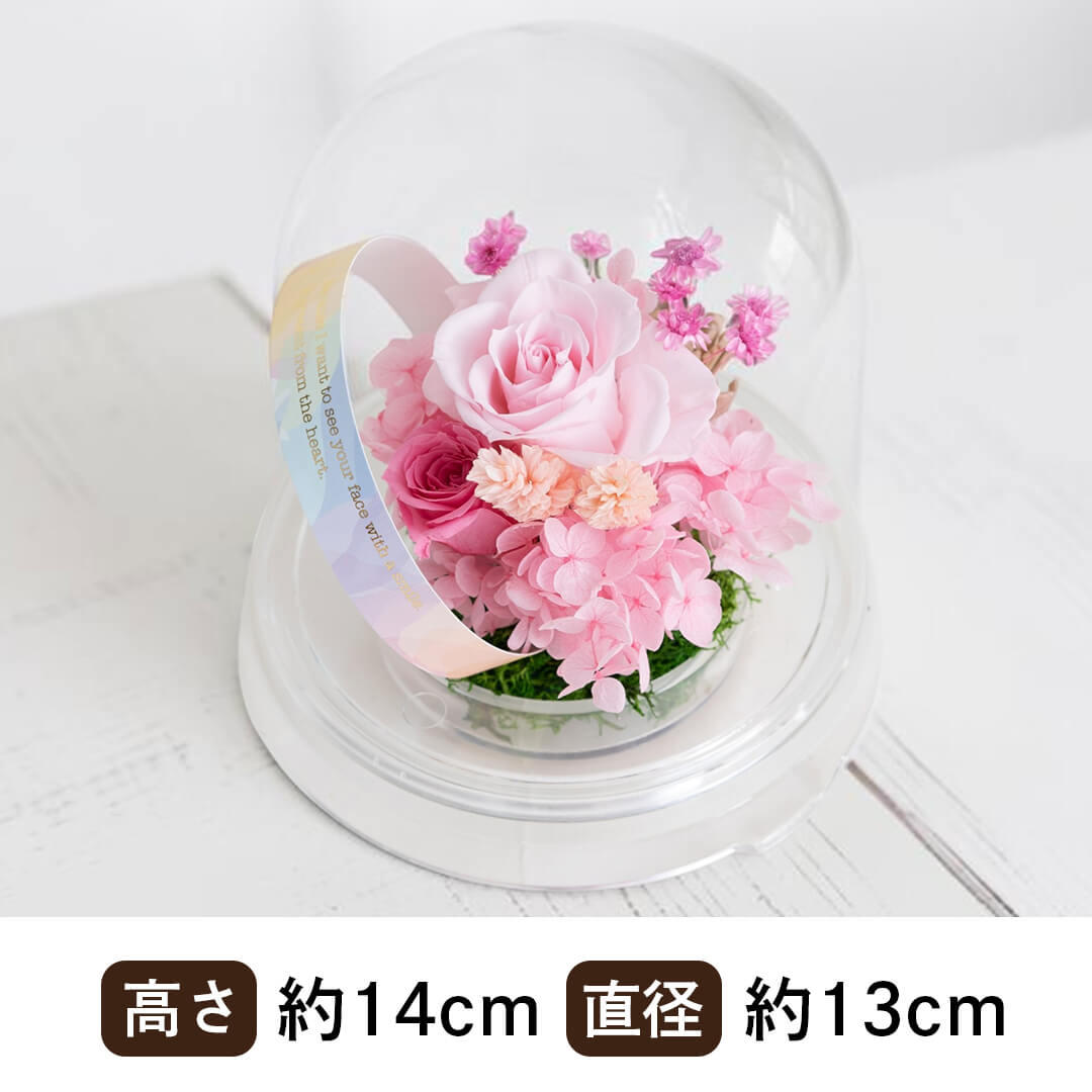 商品サイズ 高さ14cm 直径13cm