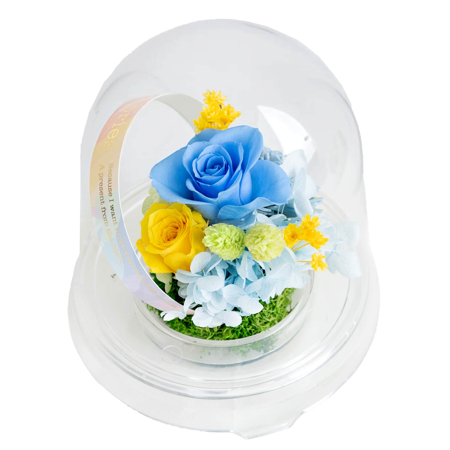 ペットのお供え ドームアレンジ 虹花 ブルーローズ