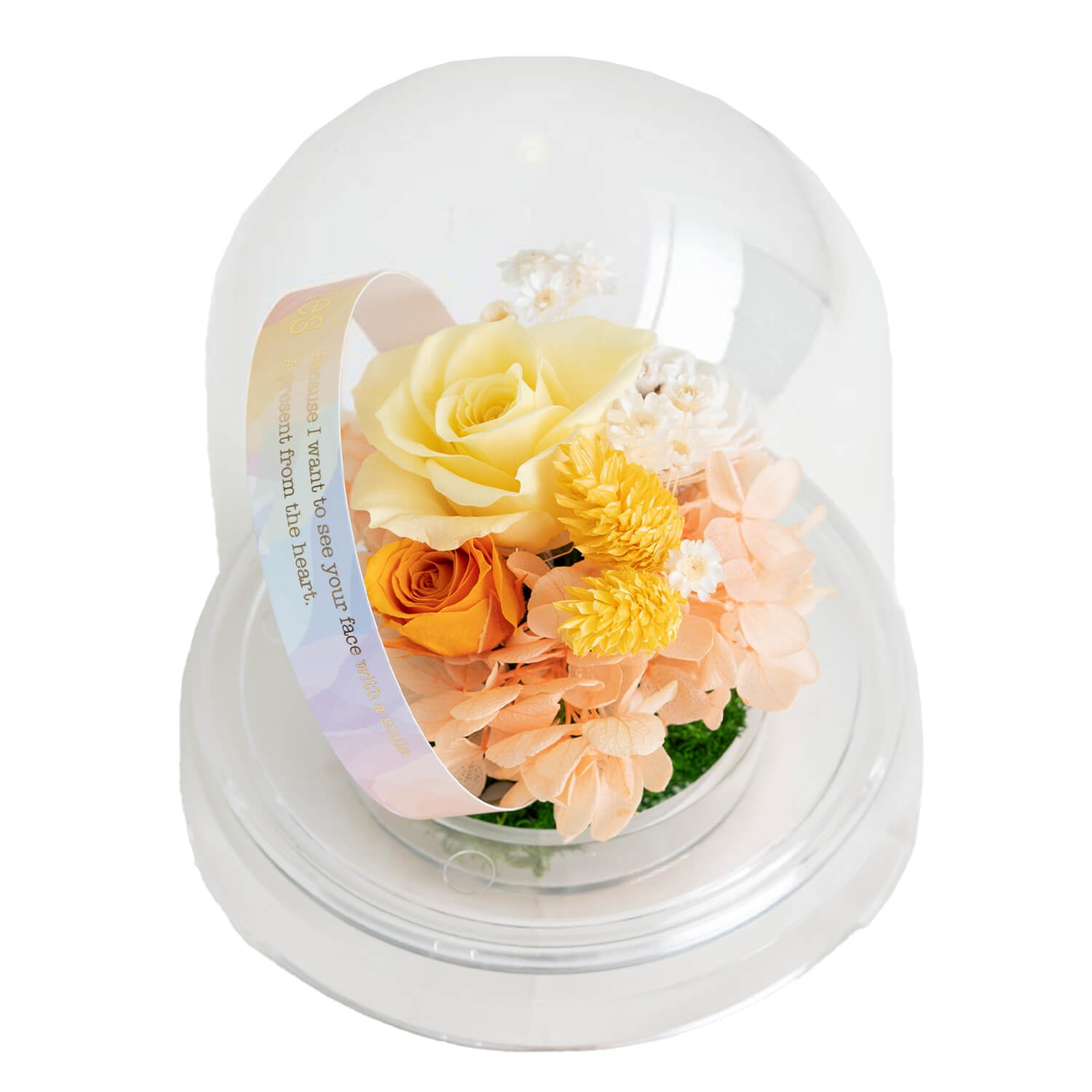 ペットのお供え ドームアレンジ 虹花 オレンジローズ