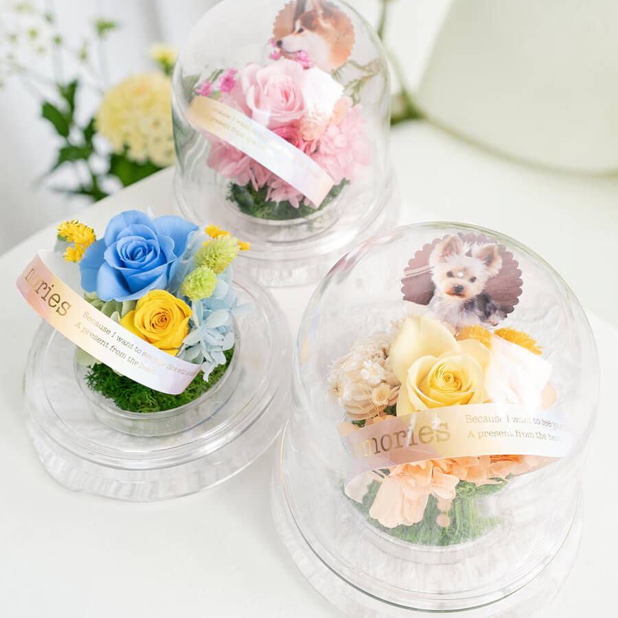 虹花 商品イメージ