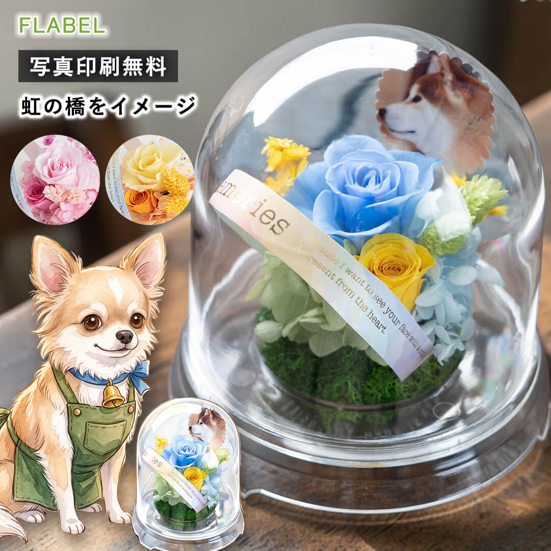 プリザーブドフラワー 虹花