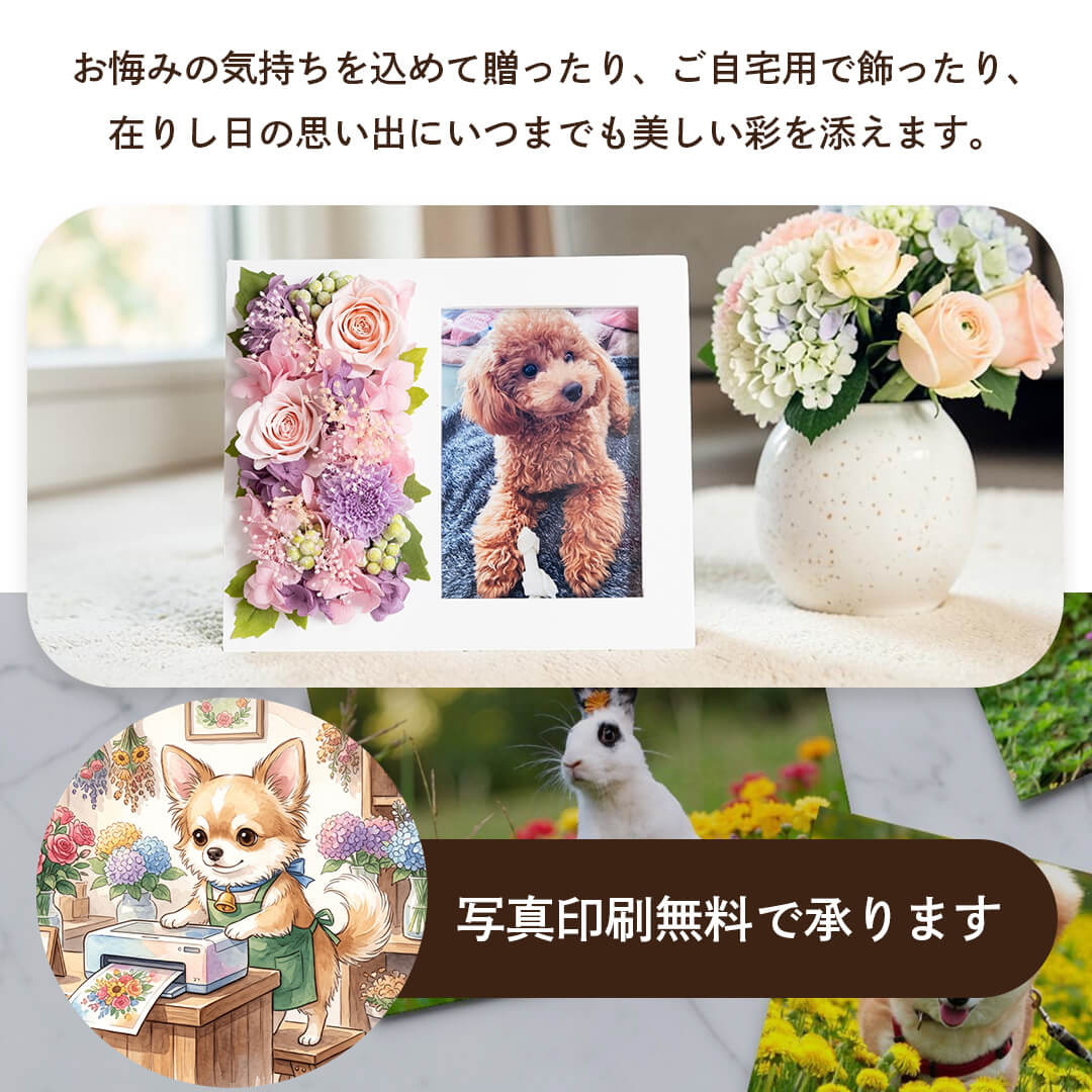 写真印刷無料。贈答用としても