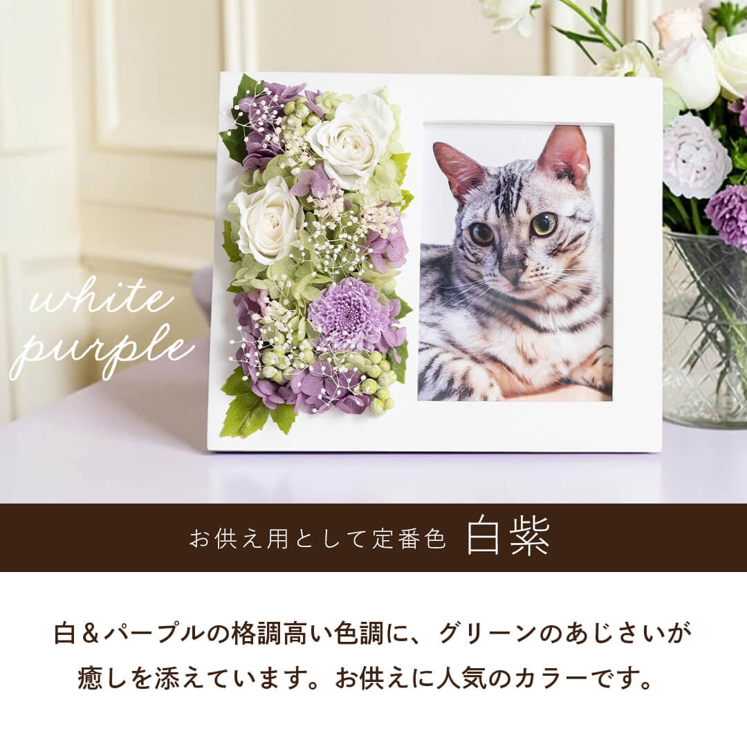 お供えの定番色 白紫