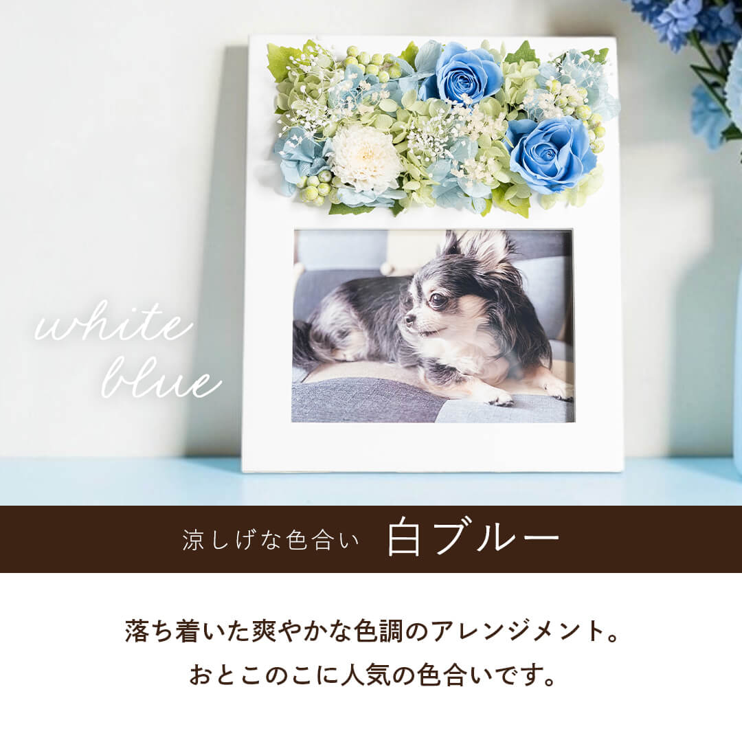 涼しげな色合い 白ブルー