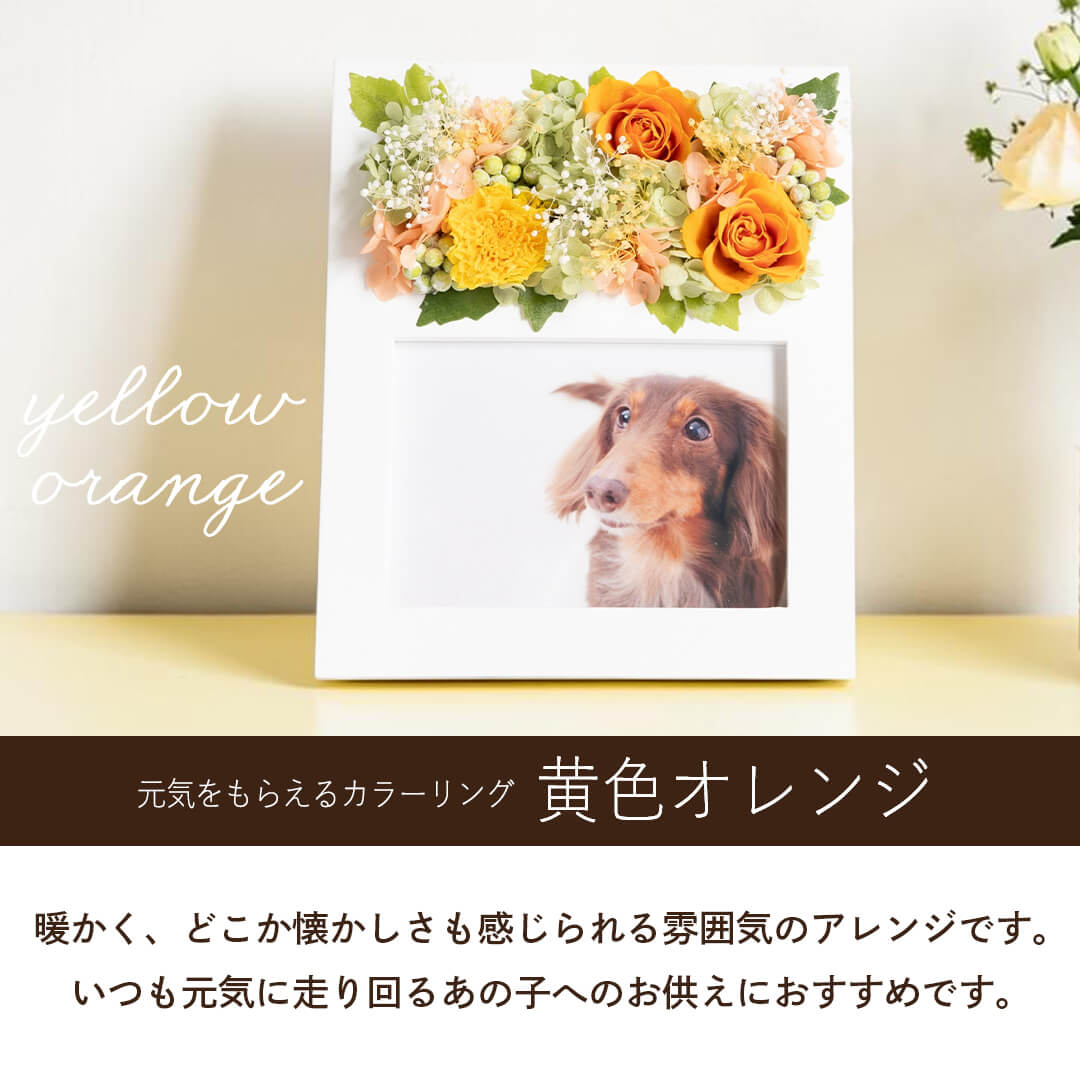 元気をもらえる色合い 黄色オレンジ