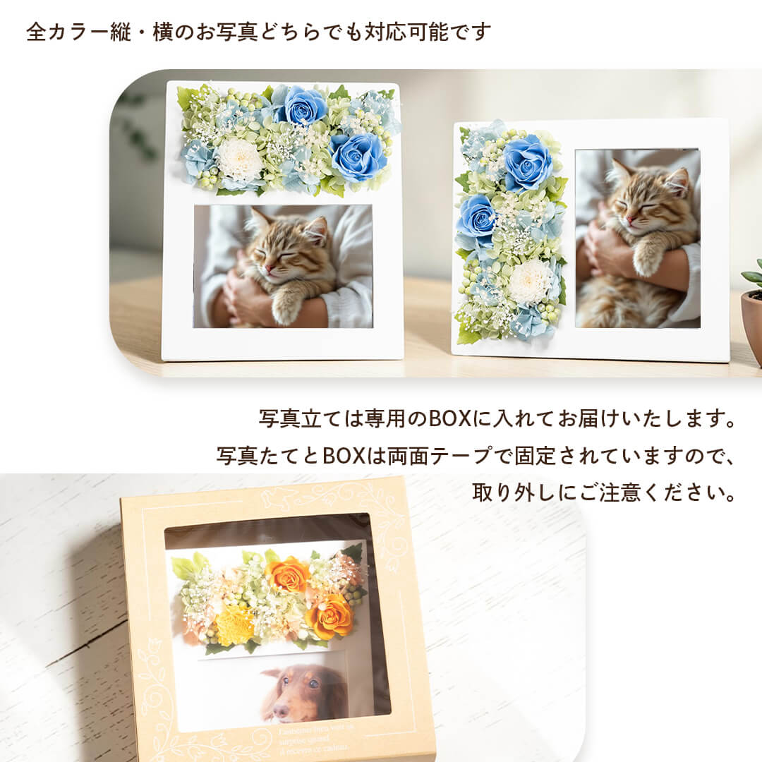縦・横のお写真どちらも飾れます